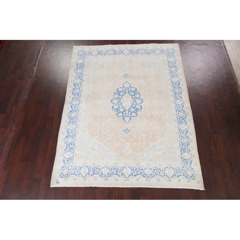Muted Distressed  Traditional Area Rug 7x9