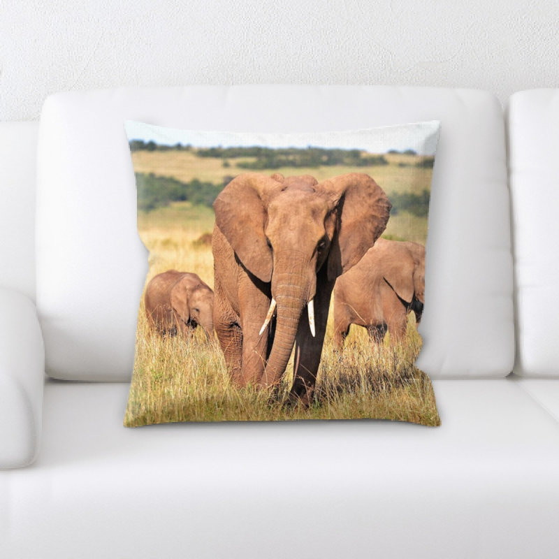 Coussin décoratif animaux