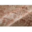 Loralai Traditional Oriental Tan Area Rug-1698041247