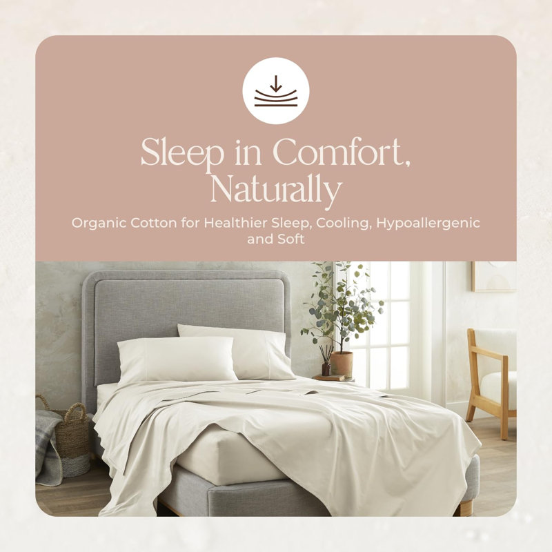 Ensemble de taies d'oreiller 100% coton biologique pour très grand lit 2 à 100% de taies d'oreiller 100% coton Certifié GOTS à densité de tissage 300 - Taie d'oreiller naturellement rafraîchissante, confortable, respirante et douce