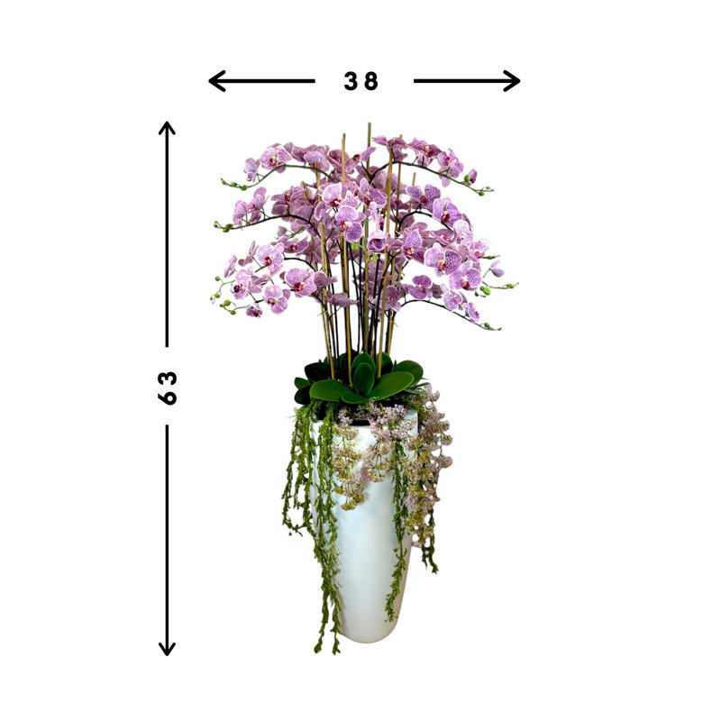 5.25' Orchid Arrangement with Weeping Laurel in Fiberstone Planter, Pink