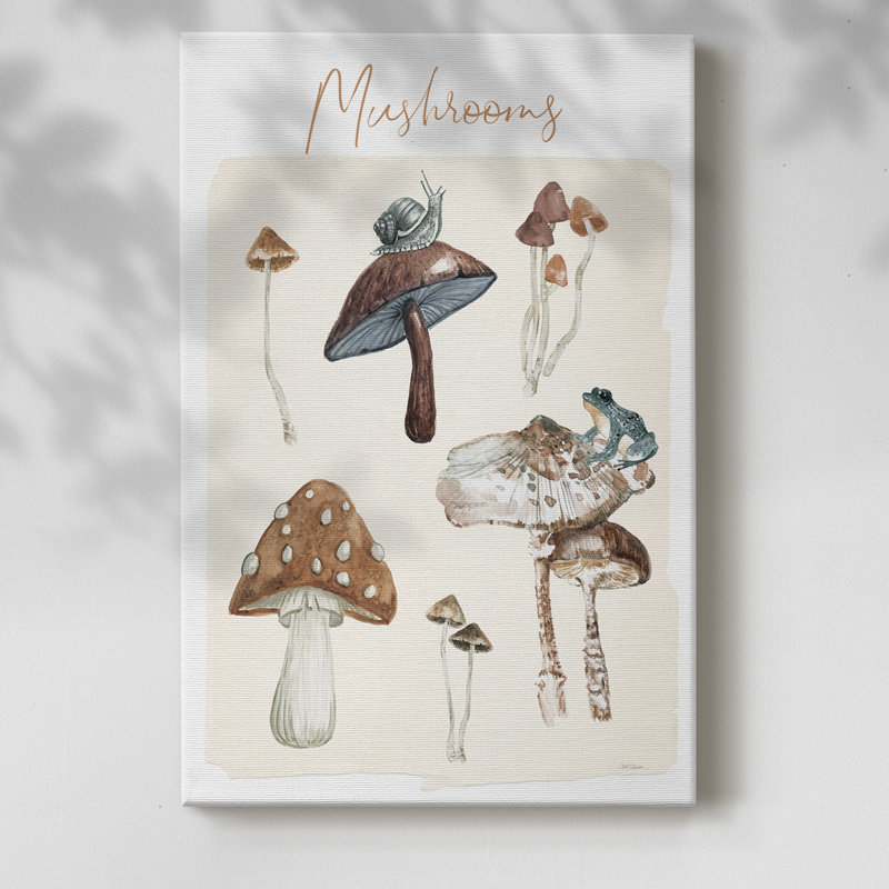 Mushroom Chart -Gallery Wrapped Cavas, 36" H x 24" W