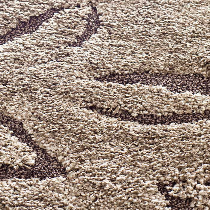 Chanhassen Shag Performance Floral Rug