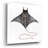 'Eagle Ray 2' by Stellar Design Studio, Acrylic Glass Wall Art-1033740294