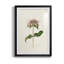 Mauve Garden Flowers V - peinture encadrée-949402230-949402231