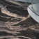 Tapis bleu Arendtsville