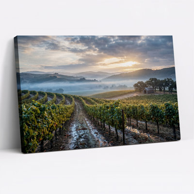 Tableau sur toile représentant des rangées de vignes verdoyantes dans la vallée de Misty