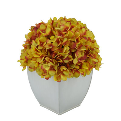 Arrangements floraux d'hortensias en pot