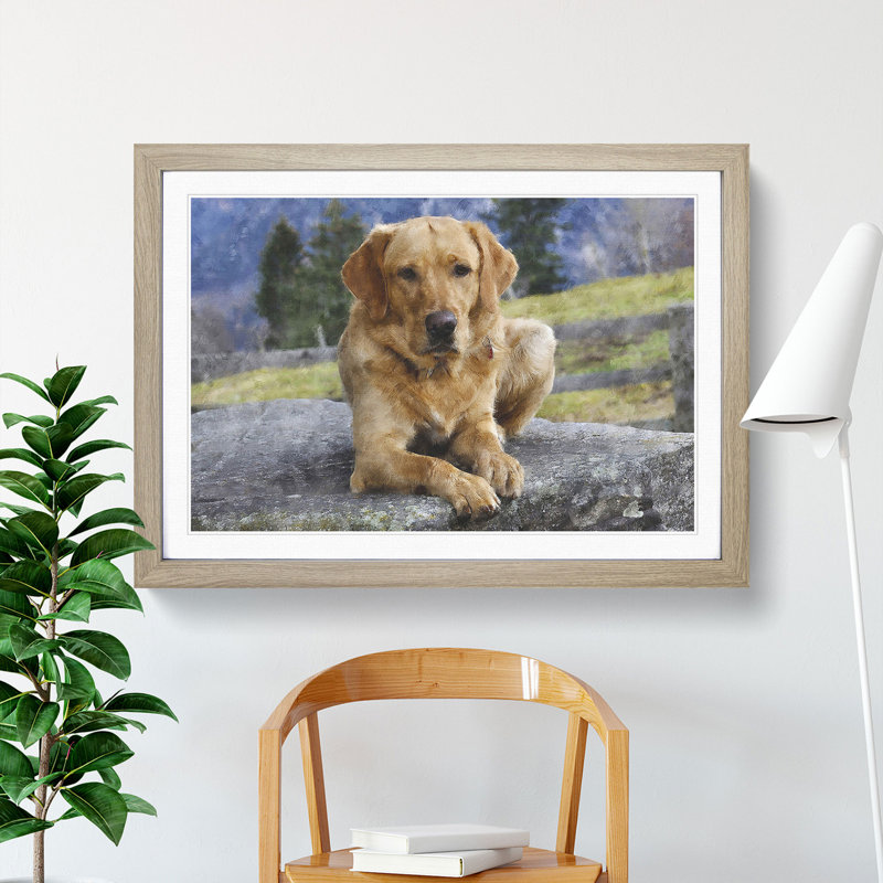 Golden Labrador Dog Vol.2 - Picture Frame Painting, 48cm H x 65cm W x 2cm D, Oak Framed