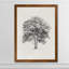 " Vintage Arbour Study II " by Paul Cezanne-1912417518-1912417517