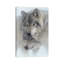 Wild Devotion - Gray Wolves-956310168-956310153