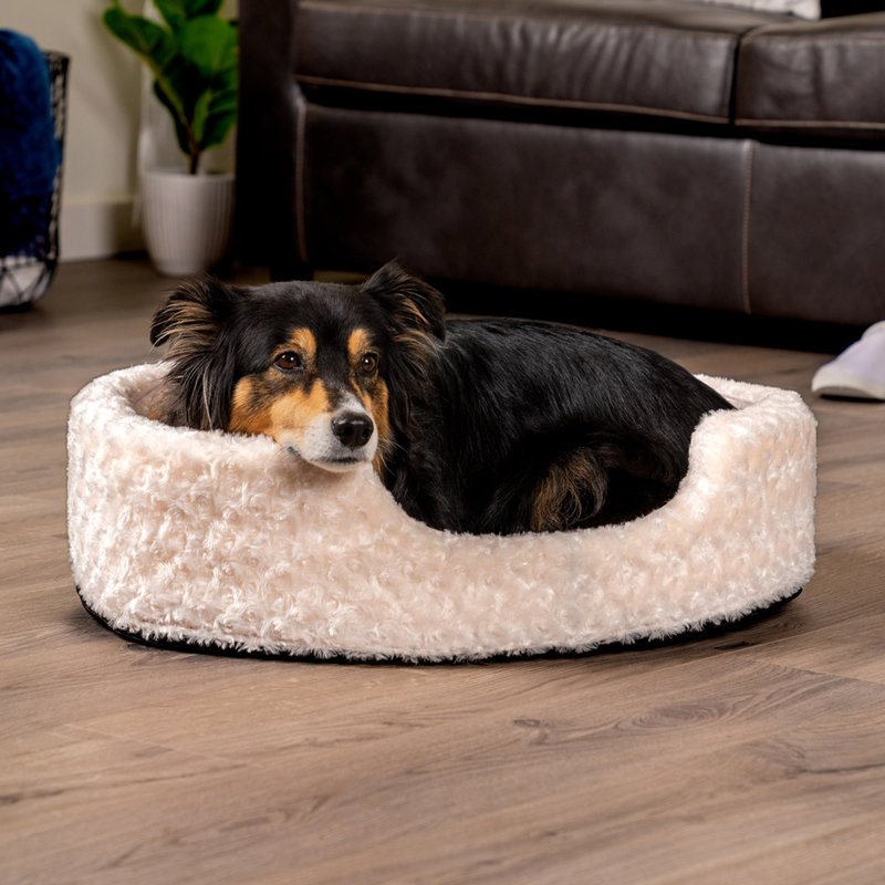 Ultra Plush Oval Donut Dog Bed, Cream, Large (26" W x 21" D)