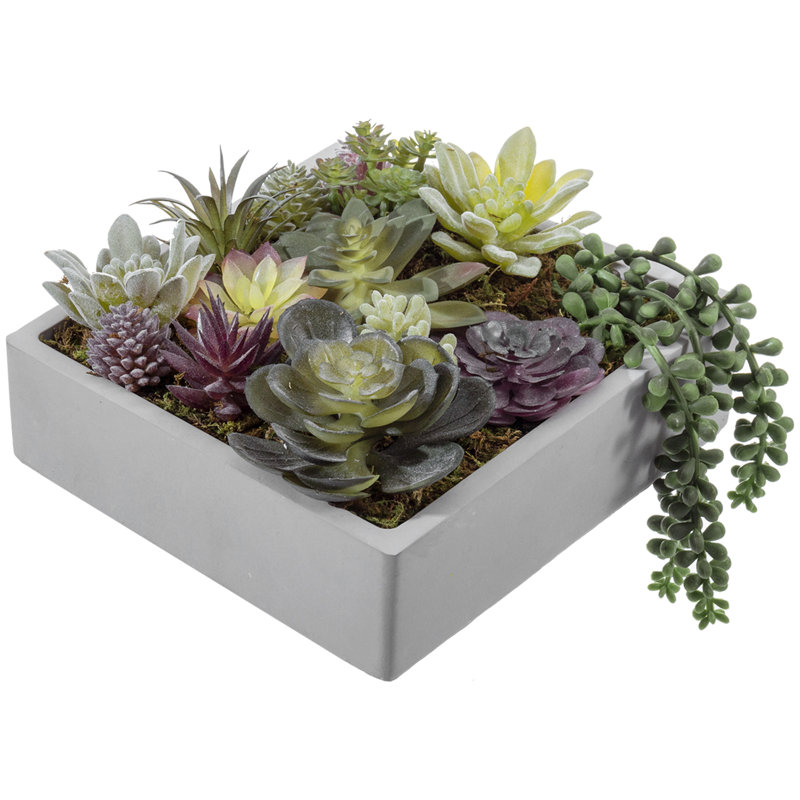 Artificial Succulent Fake Plants In Concrete Plant