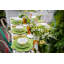 Maria Flor Earthenware Charger