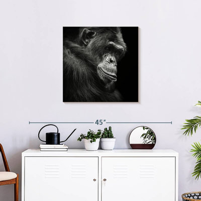 Crowle Contemplating Chimpanzee