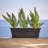 Dura Cotta Traditional Plastic Indoor/Outdoor Rectangle Window Box Planter with Attached Saucer-1663752629-1663752632