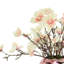 Papillons magnolia dans un vase en verre