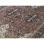 Gramercy Wool Oriental Area Rug