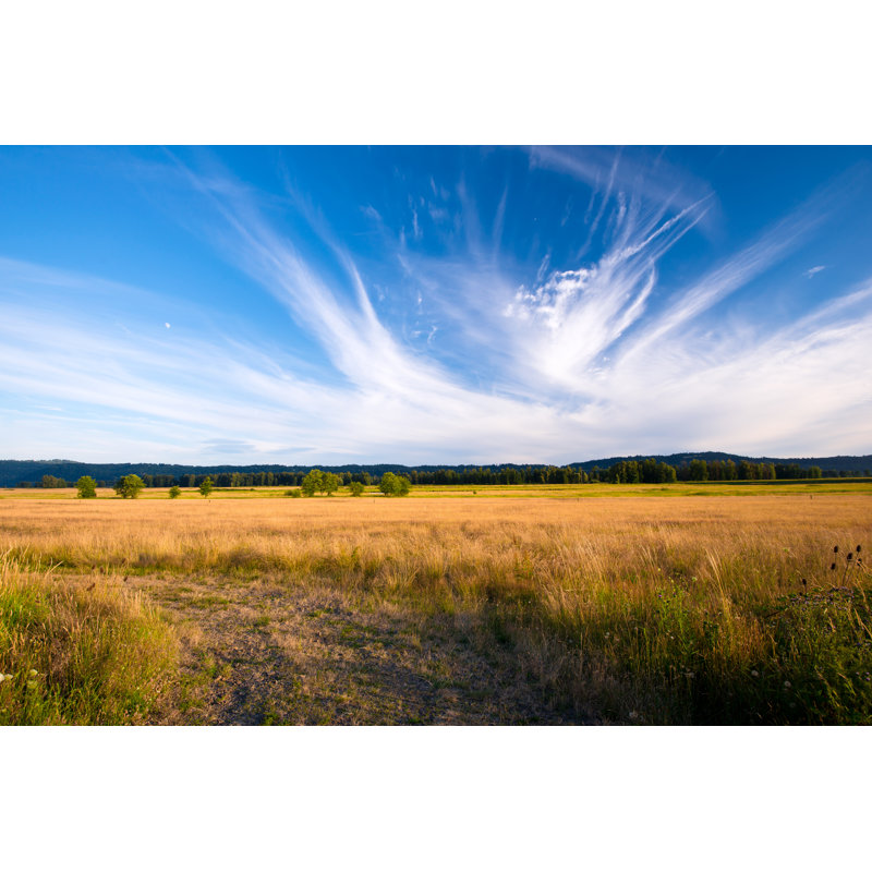 Columbia Gorge in Meadow par Vitpho - photographie sur toile tendue, H 8 po x l 12 po