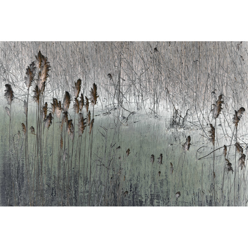 «Piscium Into The Marsh I» par Dan Singh - reproduction d'art sur toile tendue, H 8 po x l 12 po