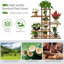 Amonie Wood Plant Stand-800965343