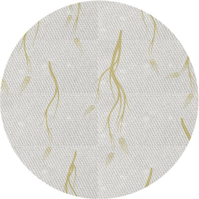 Floral Indoor Rug