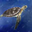 Tortue dans l'océan - Art sur toile encadré bleu classique