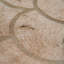 Luneta Cowhide Area Rug in Brown