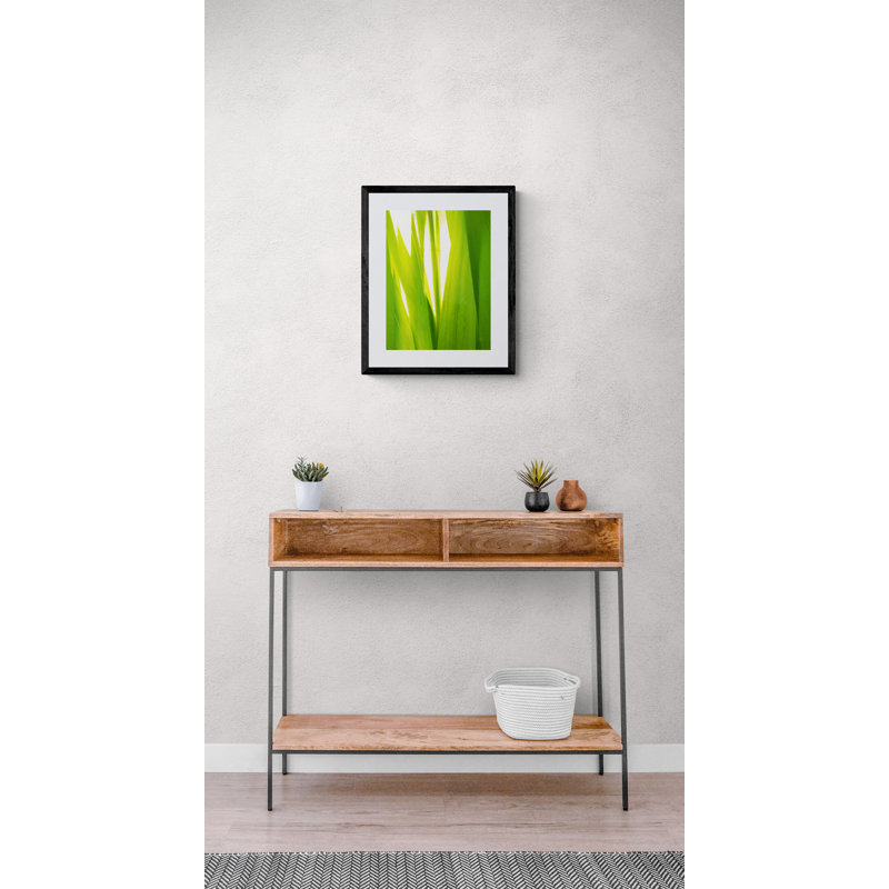 Sunkissed _ 3592 Print by Petra Trimmel, Black Framed Paper, 20" H x 16" W