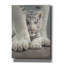 Ebern Designs «Shelter» par Collin Bogle, art mural sur toile-486523220