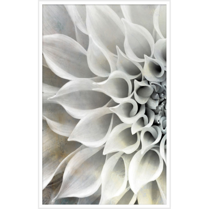 Delicate Petals A Print