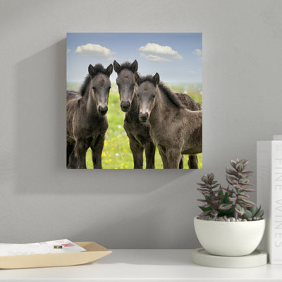 " Collection Of Horses IX " by PHBurchett