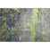 Premium Machine Washable Larrison AMF1780 Modern Rug