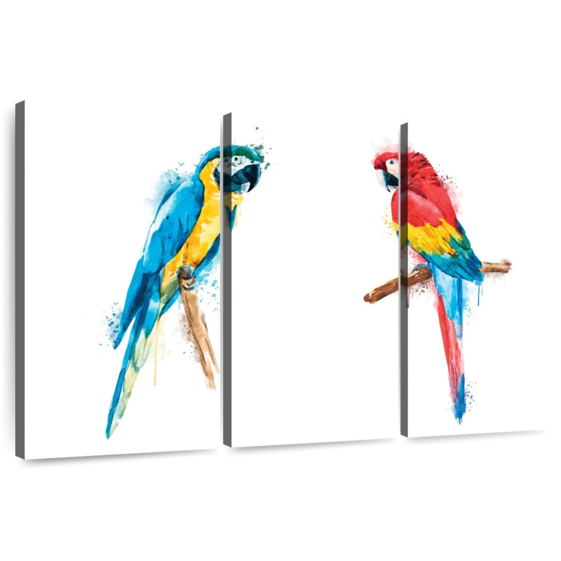 Macaw Duo Color Splash, H 28 po x l 45 po