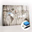 Magnetic Glass Dry Erase Board