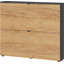 Aryauna 8 Pair Shoe Storage Cabinet