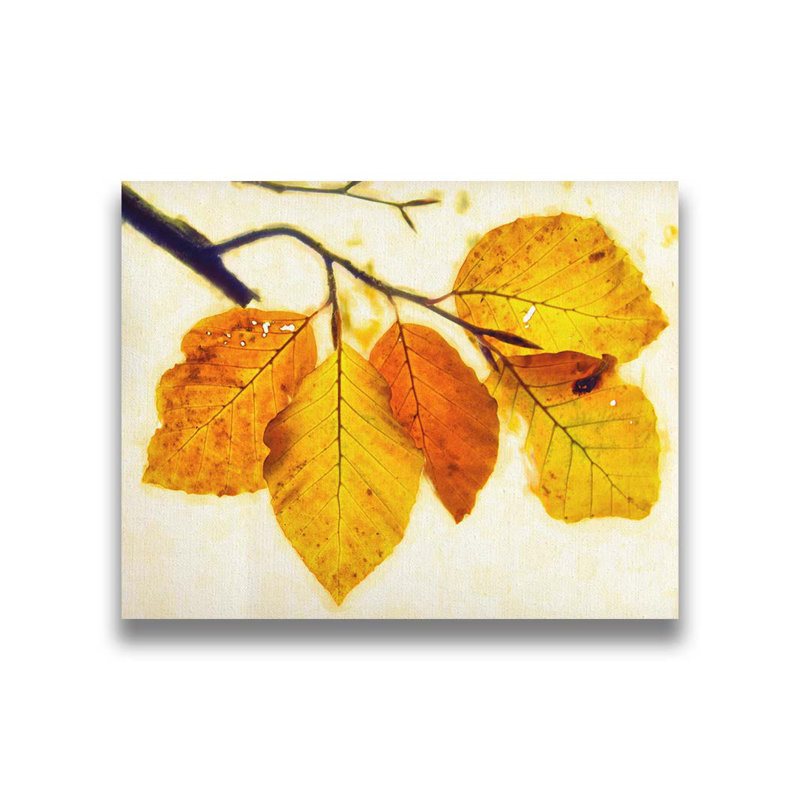 Gravure d'automne II par Hal Halli. Impression sur papier - Montée et encadrée, H 36 po x l 44 po