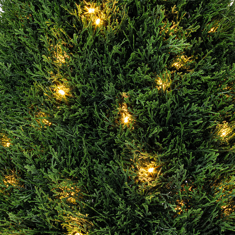 Buisson de cèdre en forme de larme Buisson de cèdre en forme de larme, H 36 po x l 20 po x P 20 po