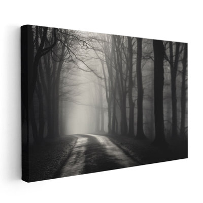 «Misty Dark Forest Path»
