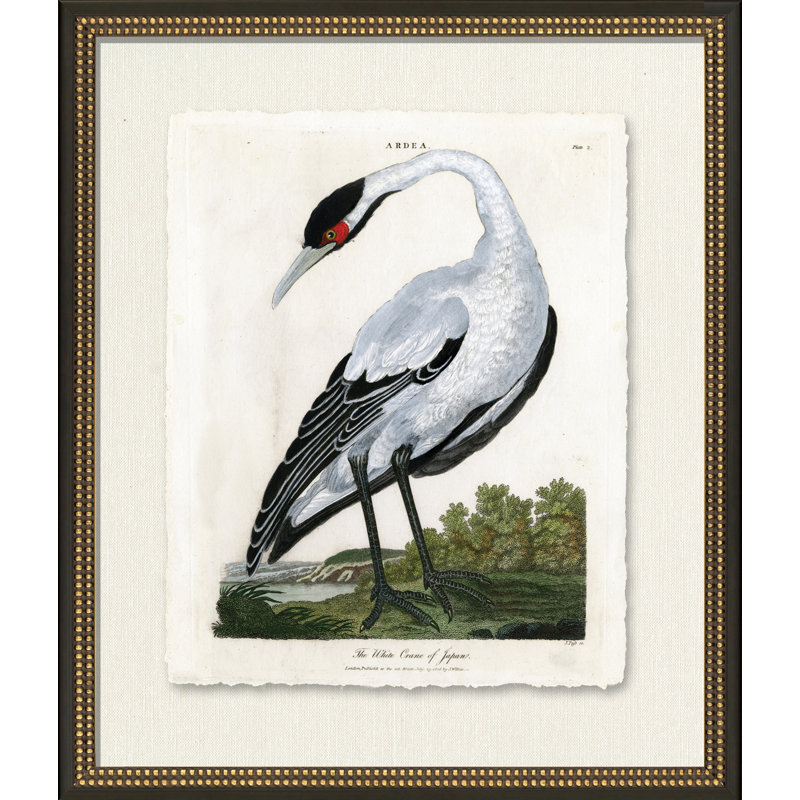 Grue blanche moyenne - Peinture sur papier encadrée