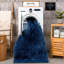 Tapis à poils longs Basics by Wayfair ™-892598740