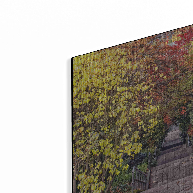 «Autumn Tunnel» par Colby Chester, H 12 po x l 12 po