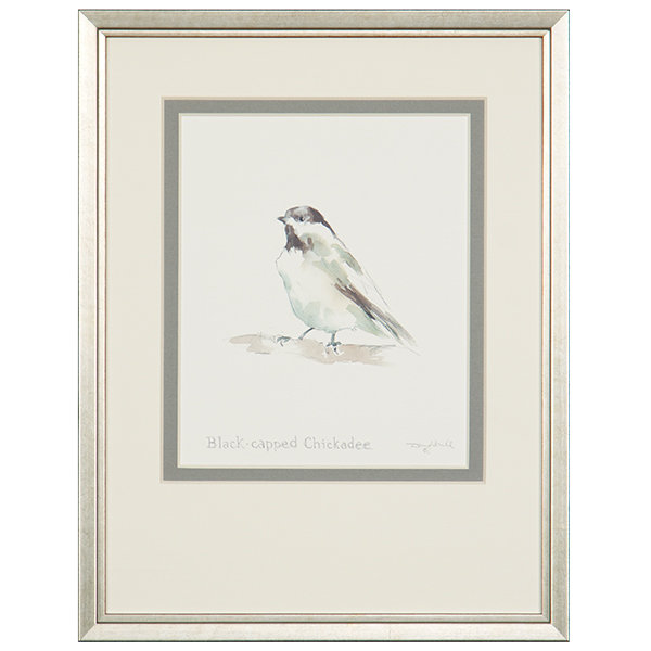 Black-Capped Chickadee Print