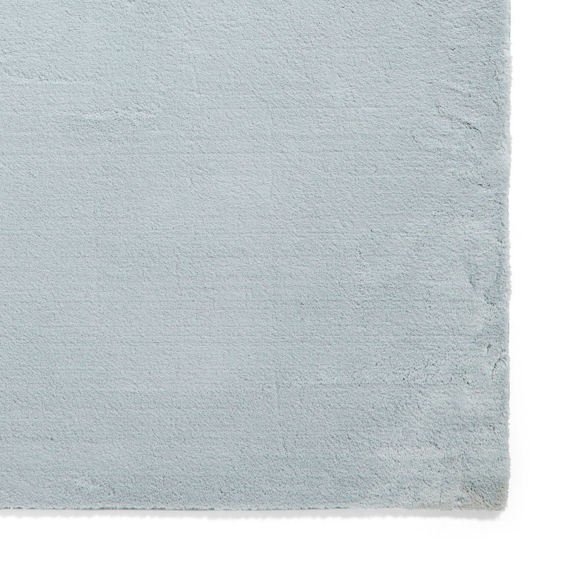 Tejal area rug Machine Woven Light Blue, Rectangle 120cm x 170cm