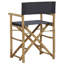 Gallatin Folding Director Chair-1523781648
