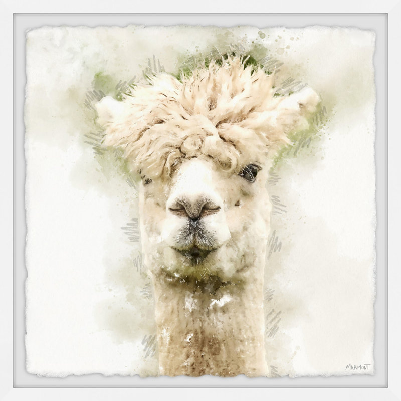 Hairy Alpaca by Marmont Hill - Single Picture Frame Painting, 41cm H x 41cm W