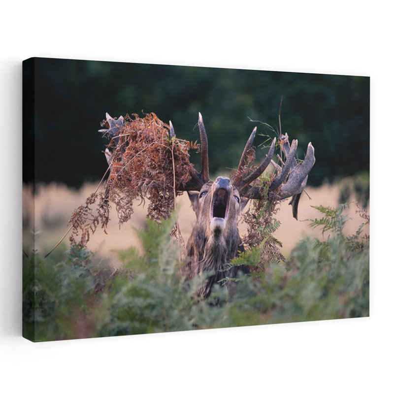 Art contemporain contemporain, paysage de forêt abstrait, H 32 po x l 48 po