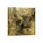 Wrapped Canvas is unavailable