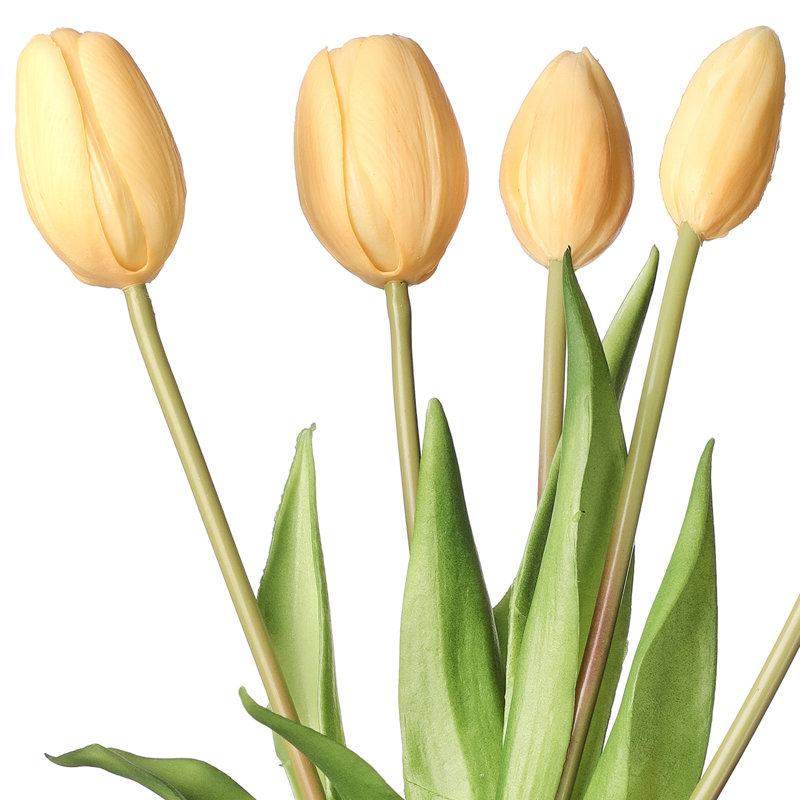 Tige de tulipe douce au toucher, Blanc jaune