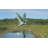 36'' H Metal Animals Weathervane-19624194